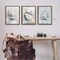 Stupell Industries Various Seashell Mirages 3pc Floating Frame Set By Ramona Murdock